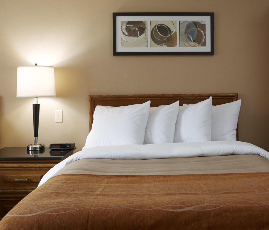 Comfort Mini-hôtel